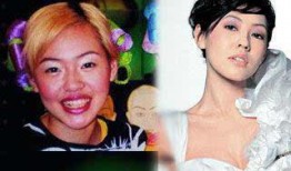 娱乐圈摆烂吃瓜郁可可,娱乐圈摆烂吃瓜，揭秘明星幕后生活